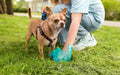 Dog Poop Pickup